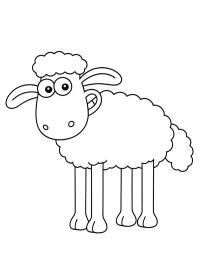 Баранчик Шон (Баранчик Шон)