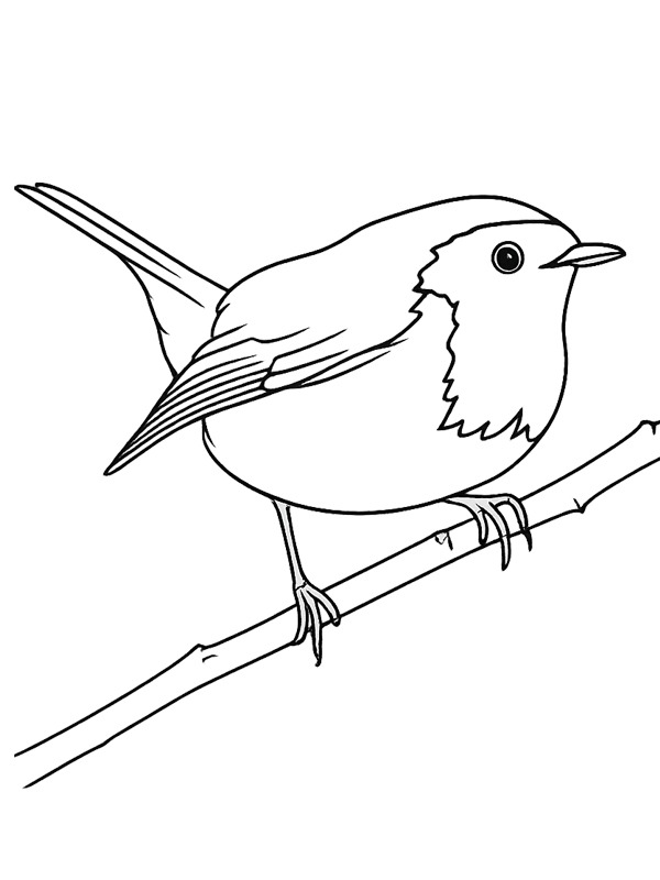 Вільшанка Розмальовка Вільшанка Розмальовка